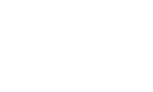 Future Biogas